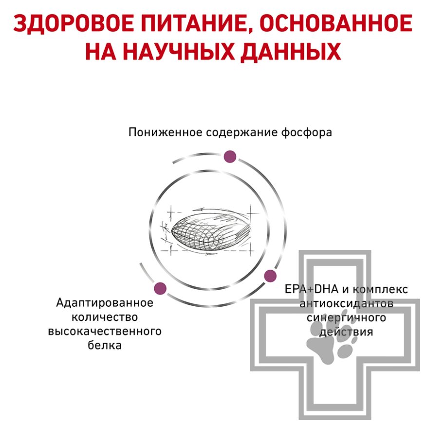 Royal Canin Renal Royal Canin Renal