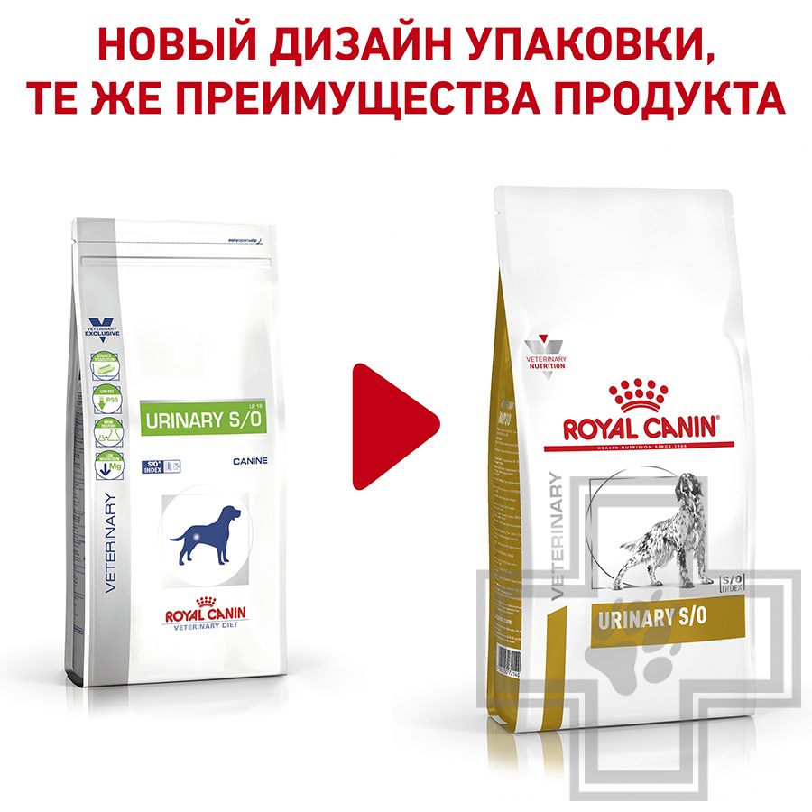 Royal Canin Urinary S/O