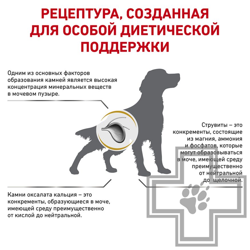 Royal Canin Urinary S/O Royal Canin Urinary S/O