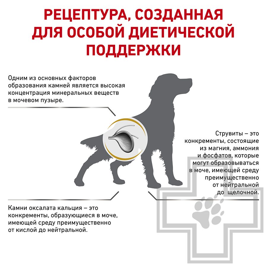 Royal Canin Urinary S/O