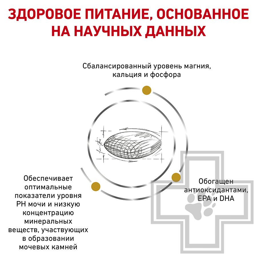 Royal Canin Urinary S/O