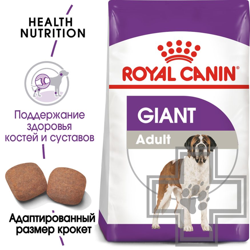 Royal Canin Giant Adult Royal Canin Giant Adult