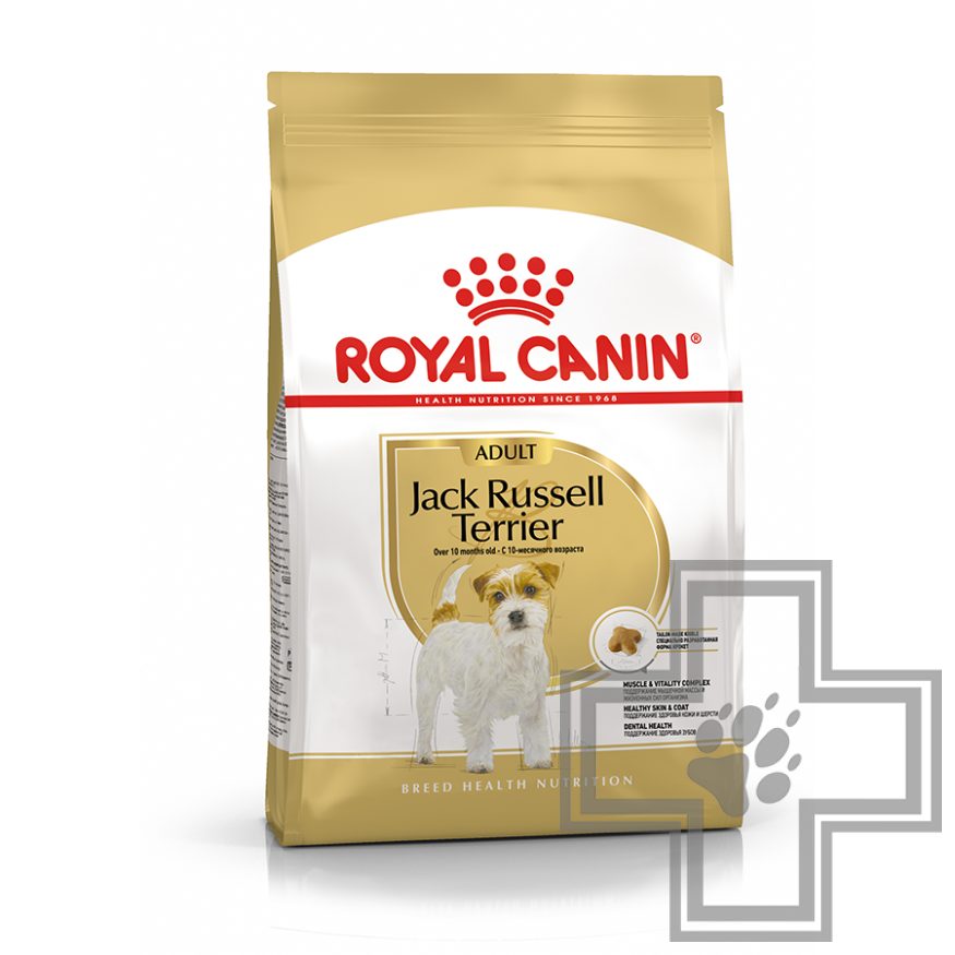 Royal Canin Jack Russell Terrier Adult