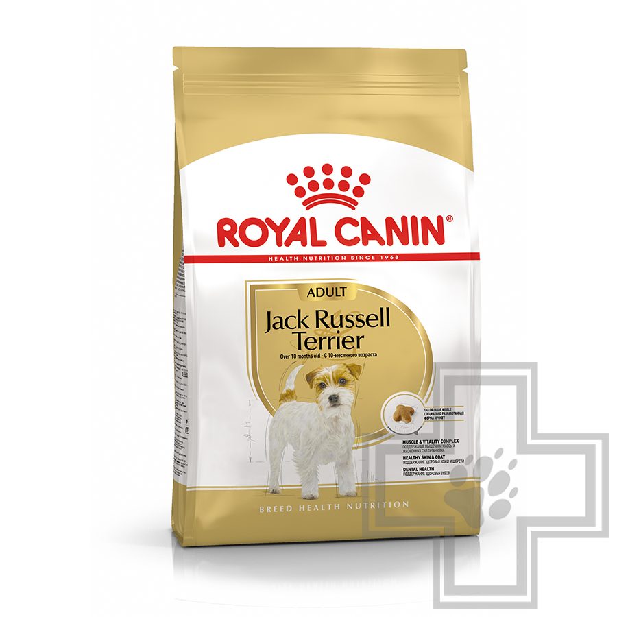 Royal Canin Jack Russell Terrier Adult