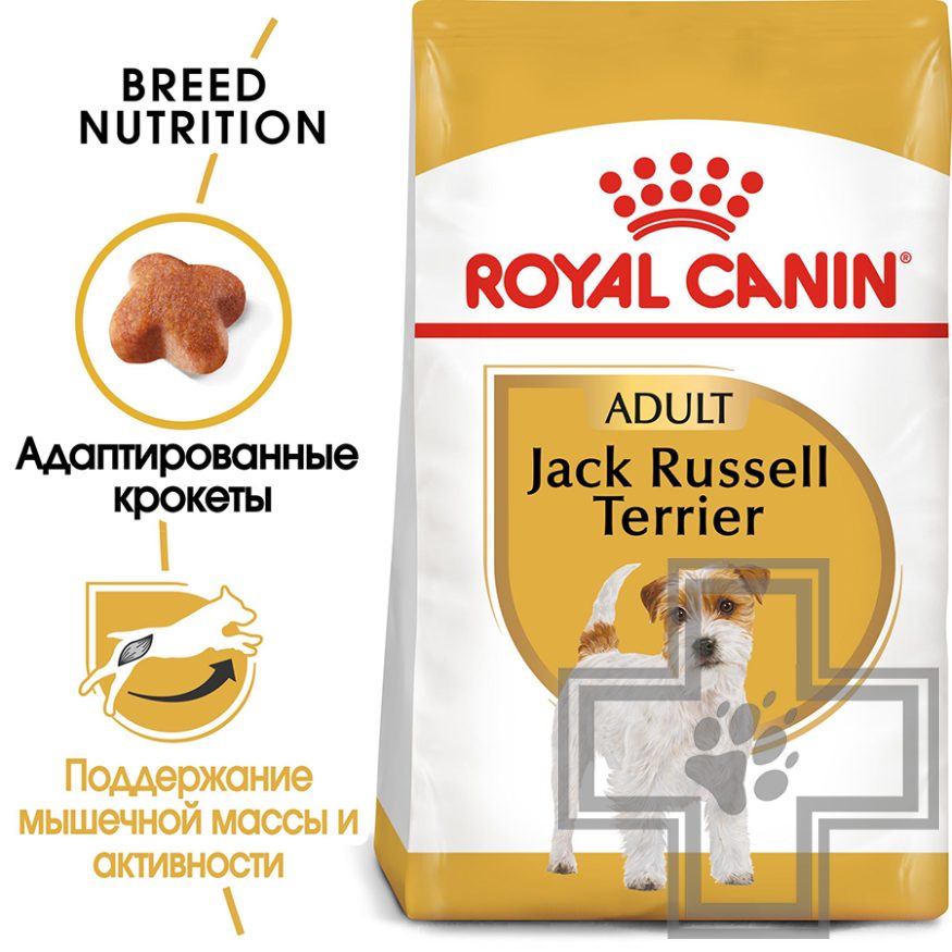Royal Canin Jack Russell Terrier Adult Royal Canin Jack Russell Terrier Adult