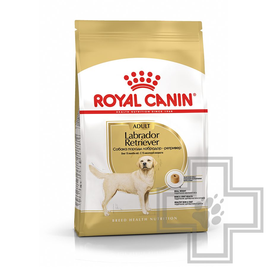 Royal Canin Labrador Retriever