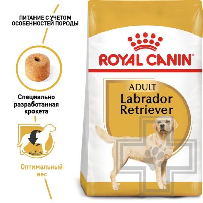 Royal Canin Labrador Retriever