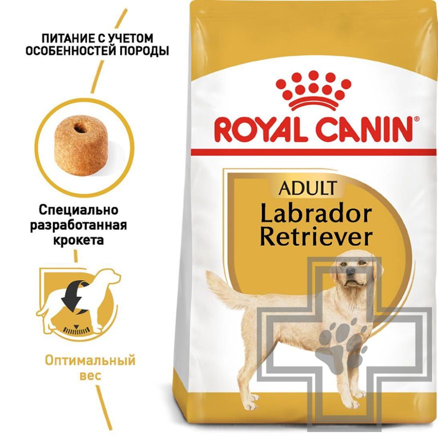 Royal Canin Labrador Retriever Royal Canin Labrador Retriever