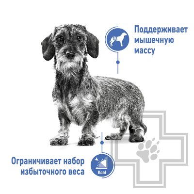 Royal Canin Mini Light Weight Care Корм для взрослых собак мелких пород, склонных к избыточному весу