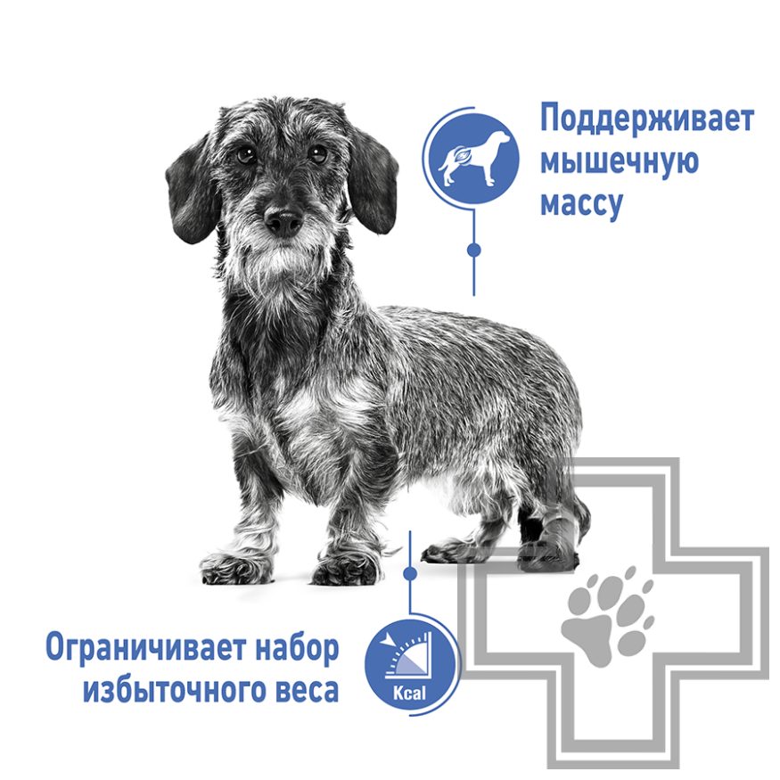 Royal Canin Mini Light Weight Care Royal Canin Mini Light Weight Care