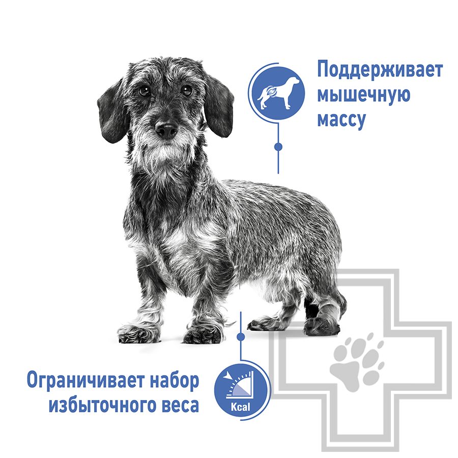 Royal Canin Mini Light Weight Care