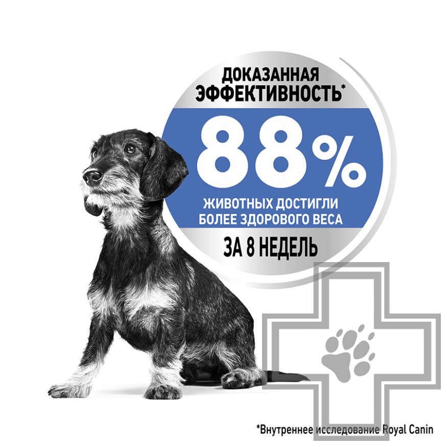 Royal Canin Mini Light Weight Care Royal Canin Mini Light Weight Care