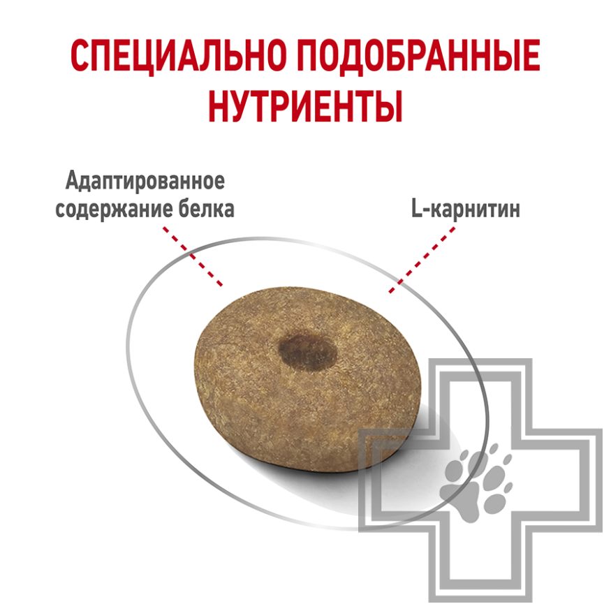 Royal Canin Mini Light Weight Care Royal Canin Mini Light Weight Care