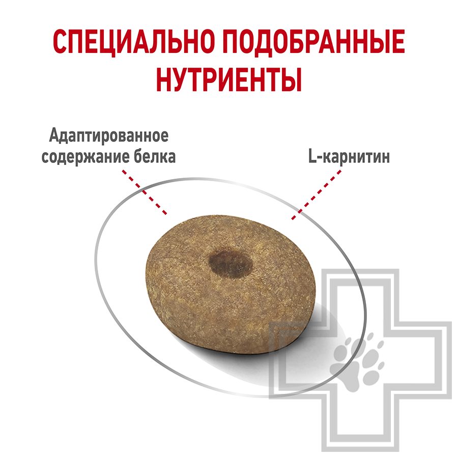 Royal Canin Mini Light Weight Care