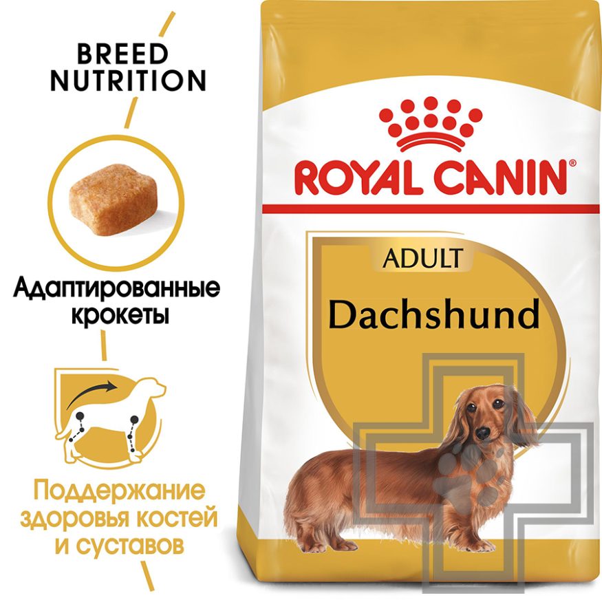 Royal Canin Dachshund Adult Royal Canin Dachshund Adult