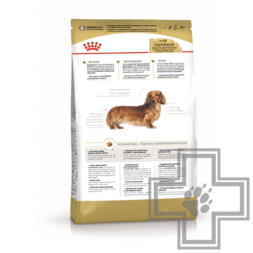 Royal Canin Dachshund Adult Royal Canin Dachshund Adult