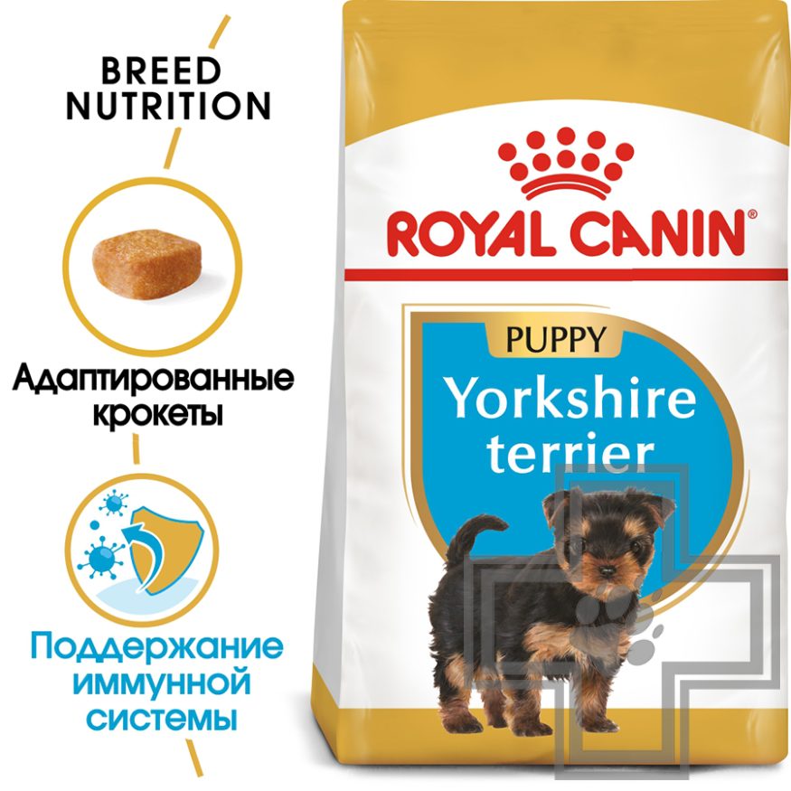 Royal Canin Yorkshire Terrier Puppy Royal Canin Yorkshire Terrier Puppy