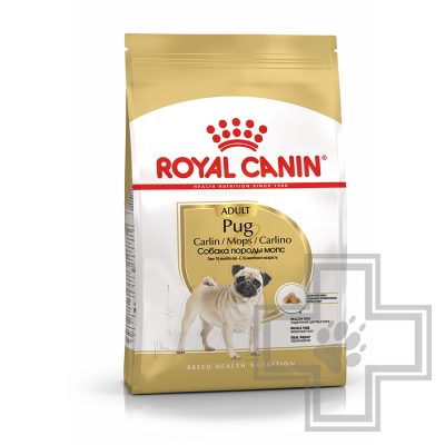 Royal Canin Pug Adult