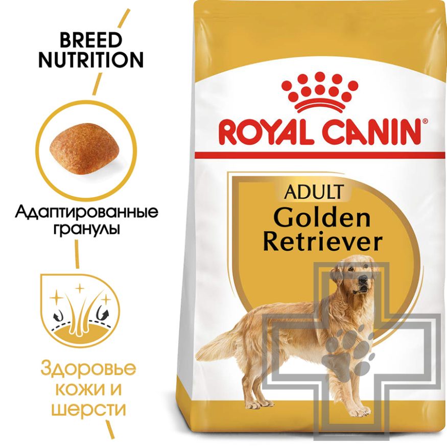 Royal Canin Golden Retriever Adult