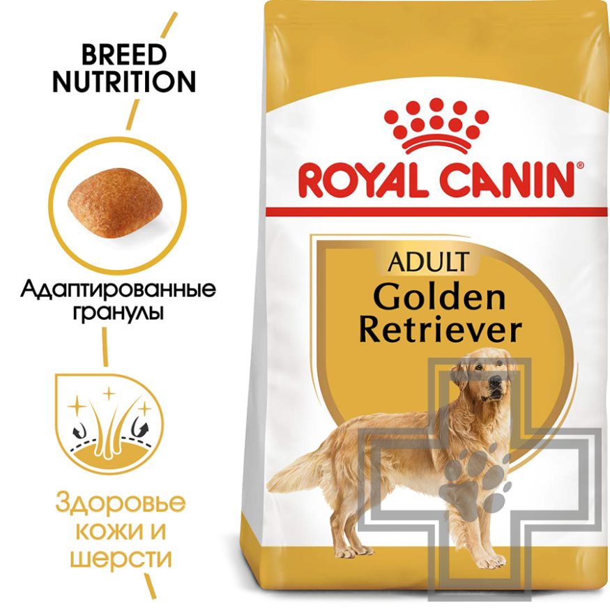 Royal Canin Golden Retriever Adult Royal Canin Golden Retriever Adult