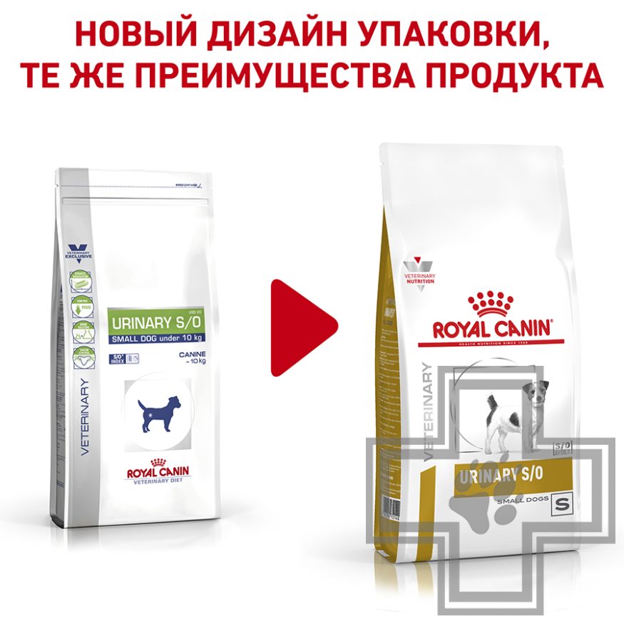 Royal Canin Urinary S/O Small Dog Royal Canin Urinary S/O Small Dog