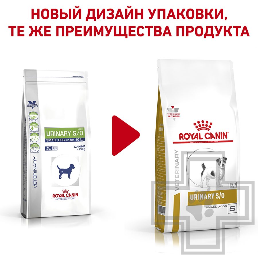 Royal Canin Urinary S/O Small Dog