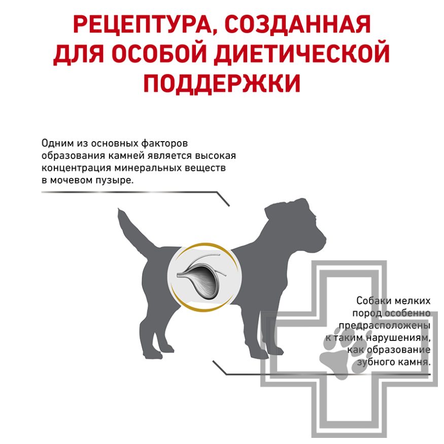Royal Canin Urinary S/O Small Dog Royal Canin Urinary S/O Small Dog