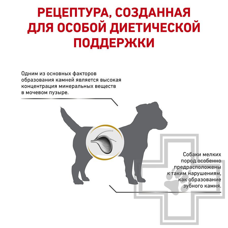 Royal Canin Urinary S/O Small Dog
