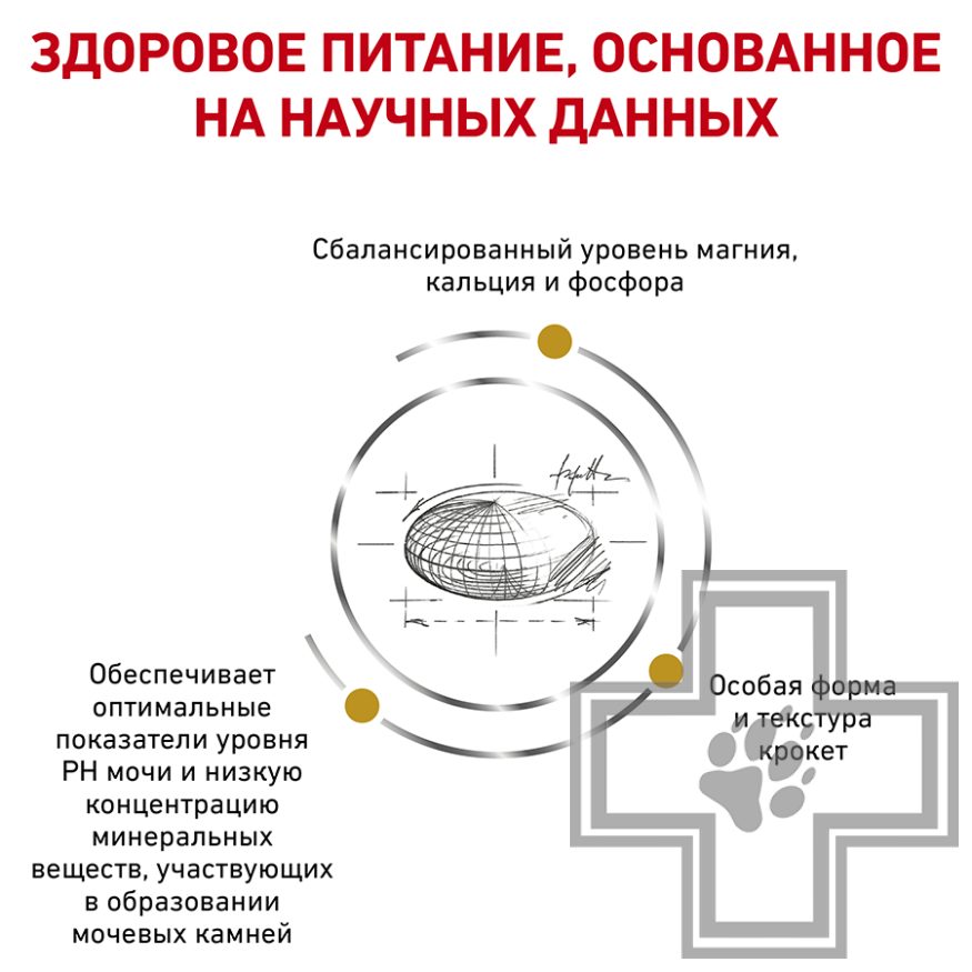 Royal Canin Urinary S/O Small Dog Royal Canin Urinary S/O Small Dog