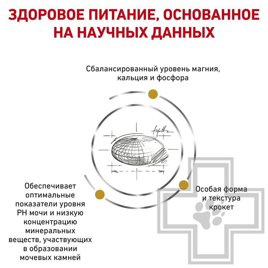 Royal Canin Urinary S/O Small Dog