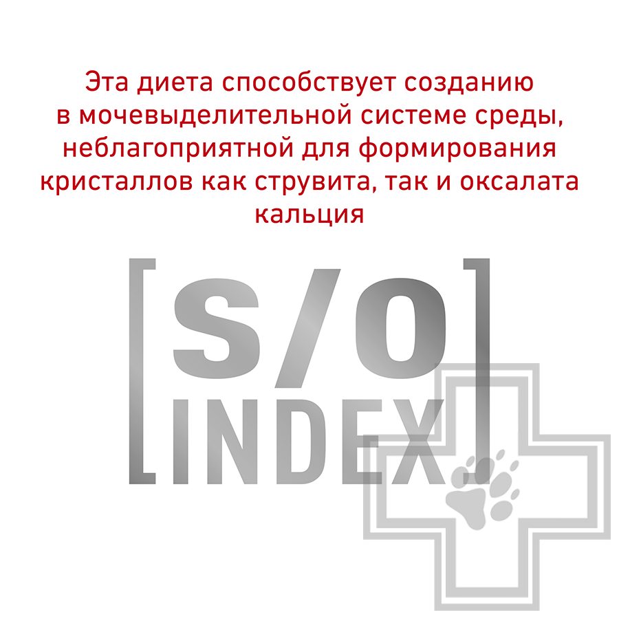 Royal Canin Urinary S/O Small Dog