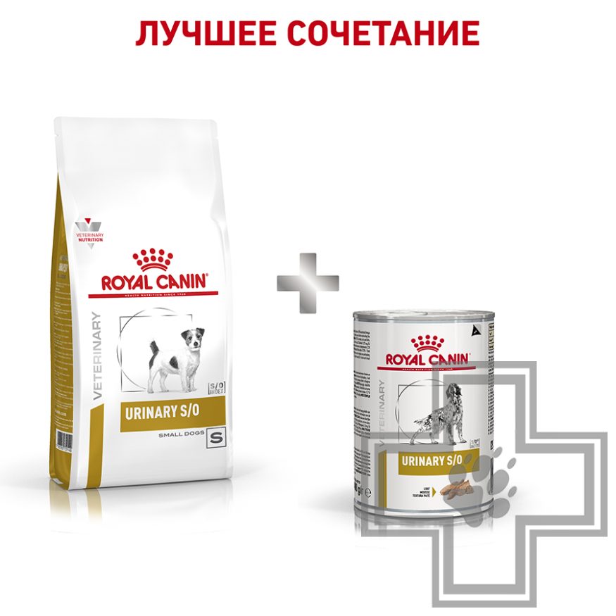 Royal Canin Urinary S/O Small Dog Royal Canin Urinary S/O Small Dog