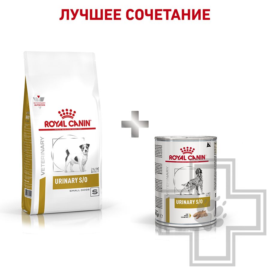 Royal Canin Urinary S/O Small Dog