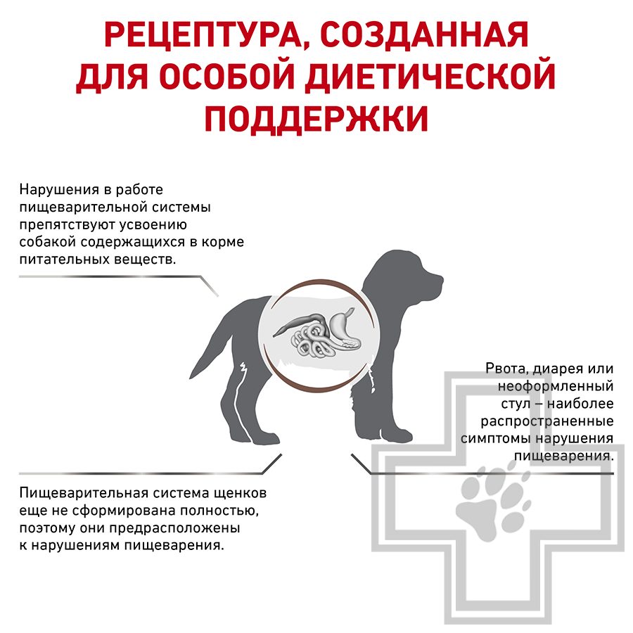 Royal Canin Gastrointestinal Puppy