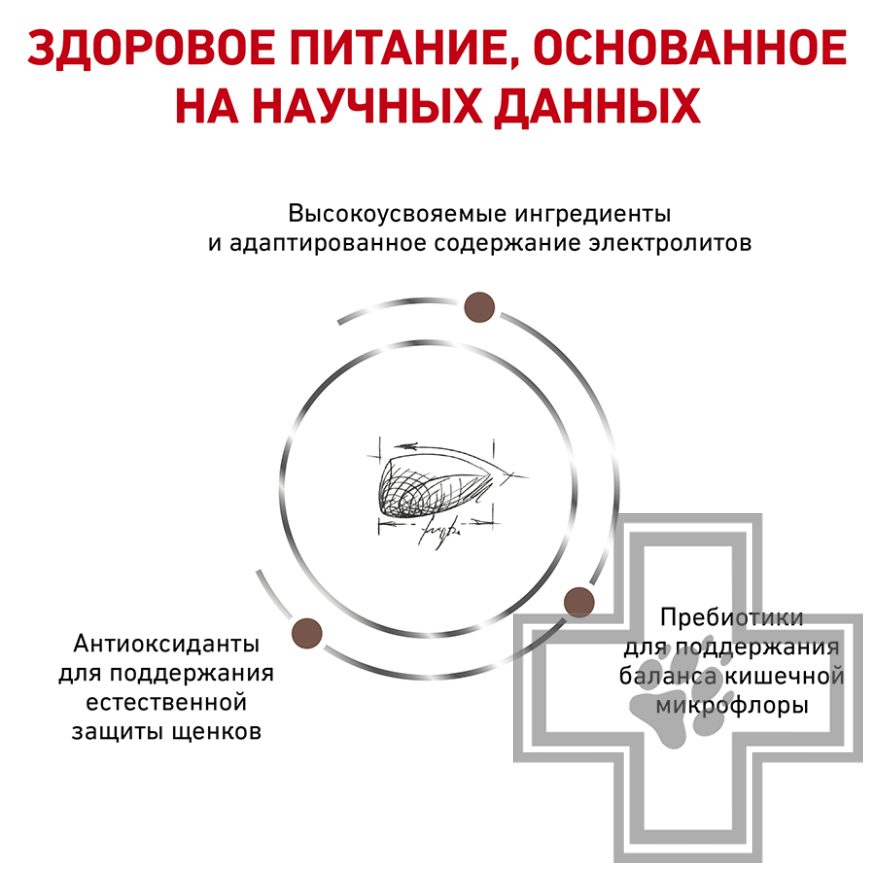 Royal Canin Gastrointestinal Puppy Royal Canin Gastrointestinal Puppy