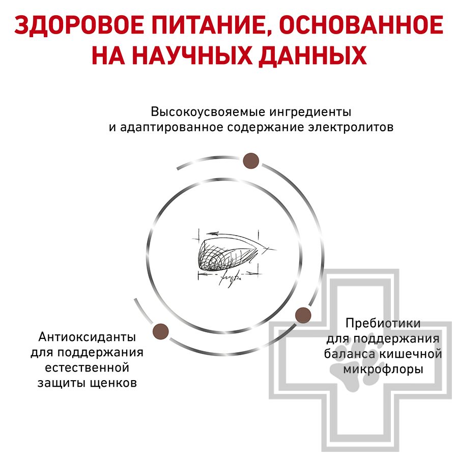 Royal Canin Gastrointestinal Puppy