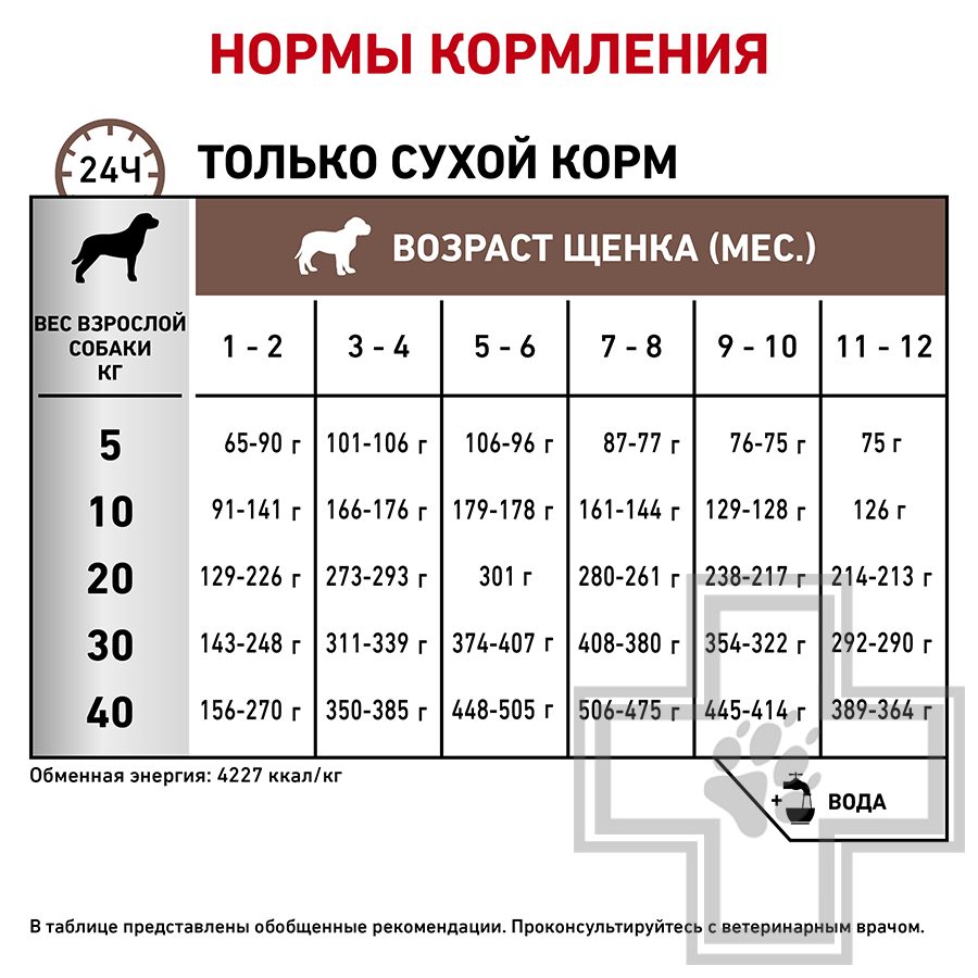 Royal Canin Gastrointestinal Puppy