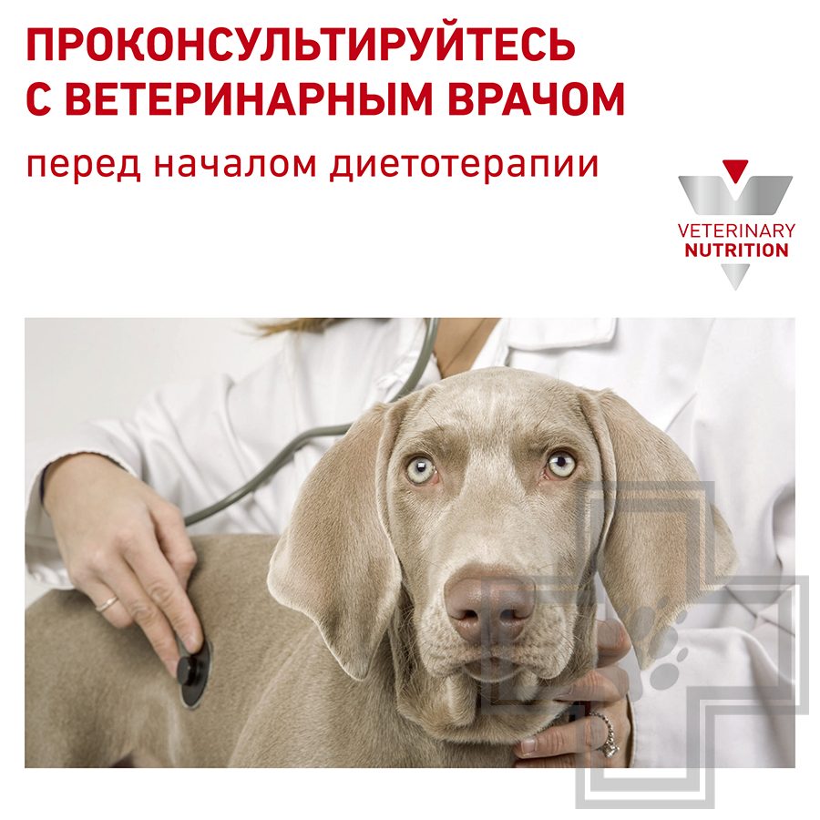 Royal Canin Gastrointestinal Puppy
