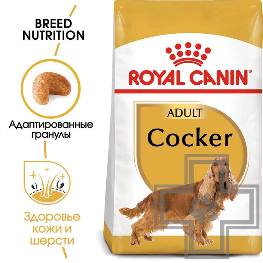 Royal Canin Cocker Adult Royal Canin Cocker Adult