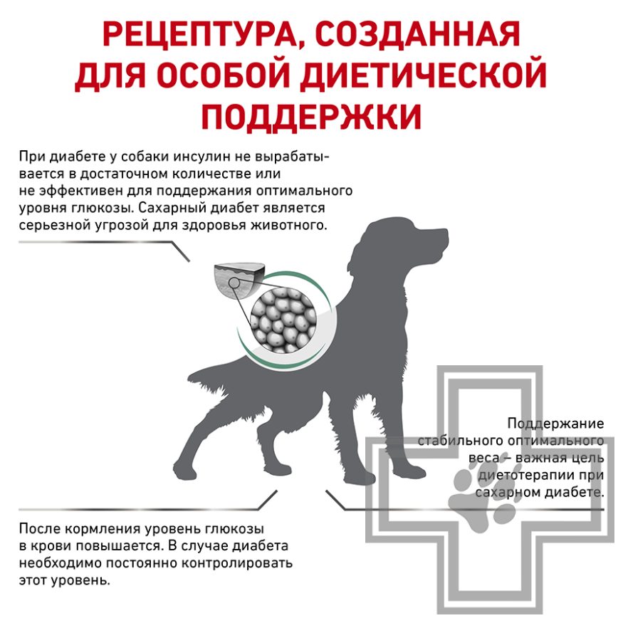 Royal Canin Diabetic Royal Canin Diabetic