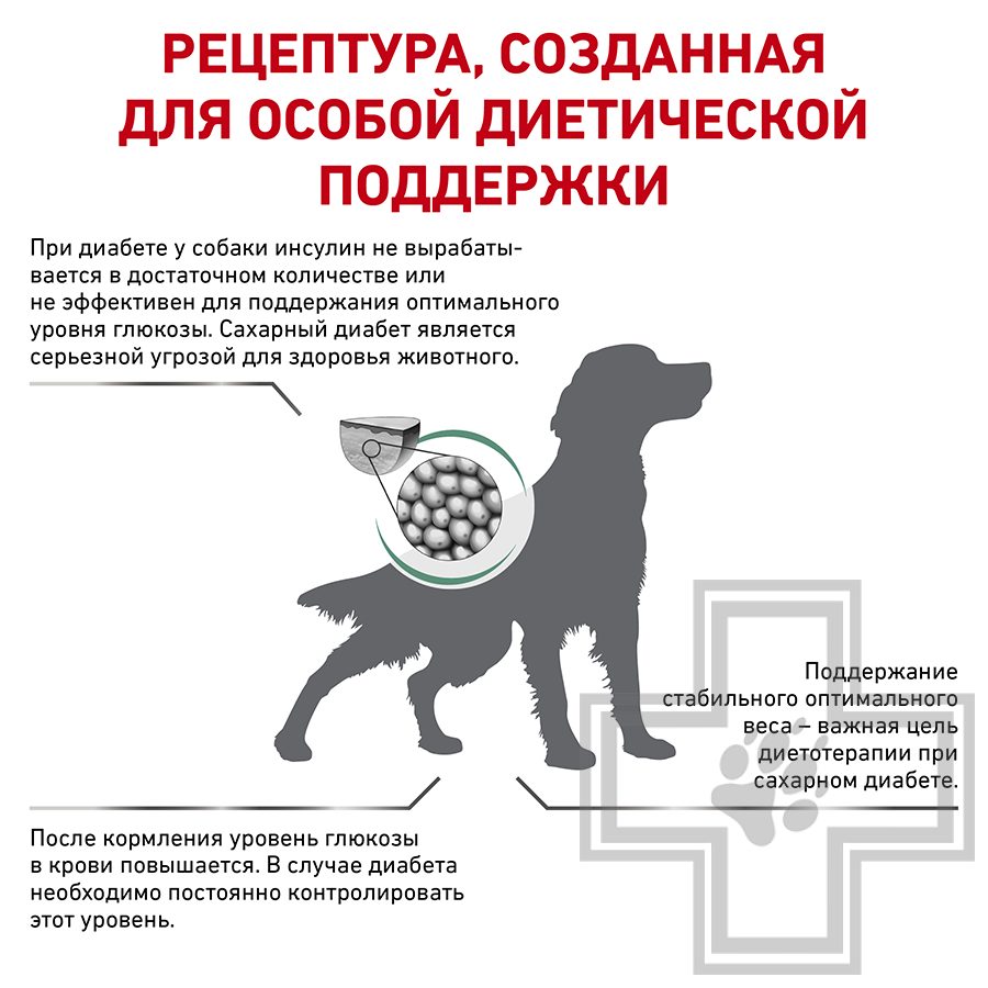 Royal Canin Diabetic