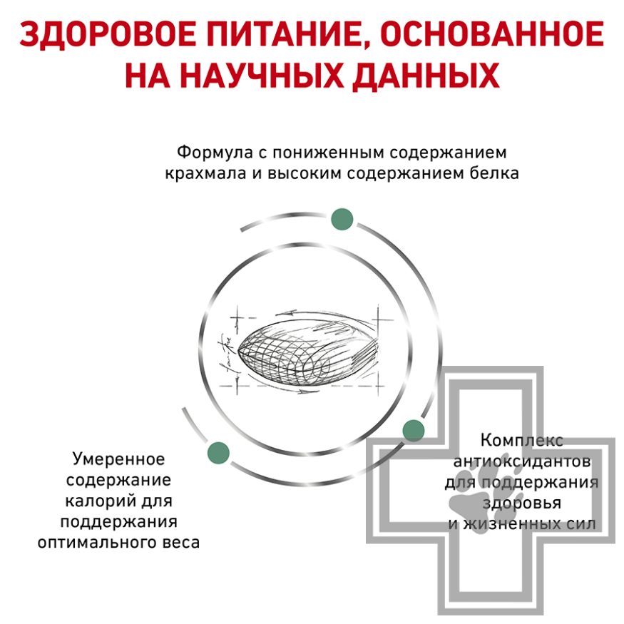 Royal Canin Diabetic Royal Canin Diabetic