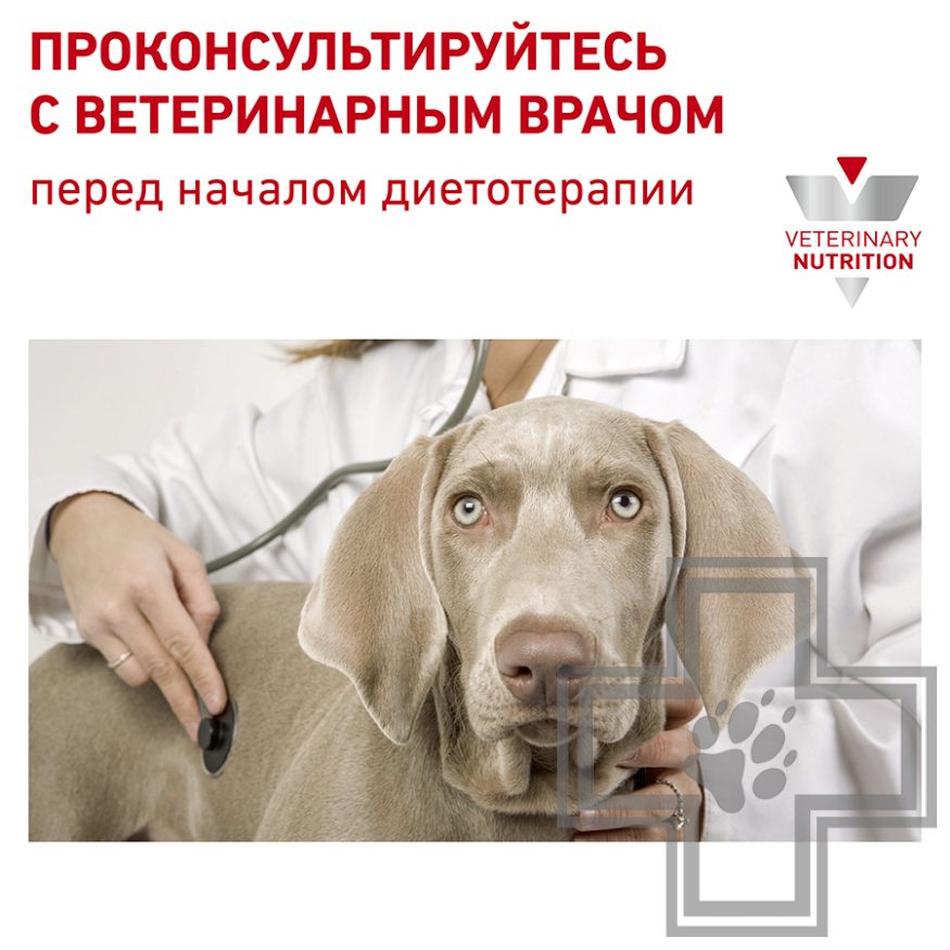 Royal Canin Diabetic Royal Canin Diabetic