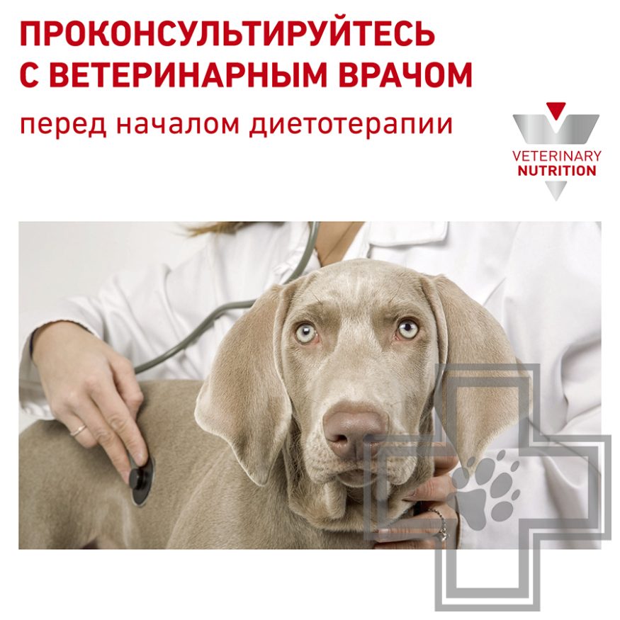 Royal Canin Diabetic