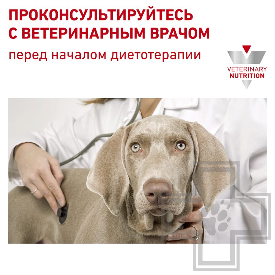 Royal Canin Diabetic