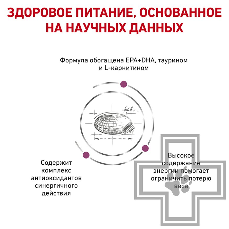 Royal Canin Cardiac Royal Canin Cardiac