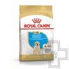 Royal Canin Labrador retriever Puppy