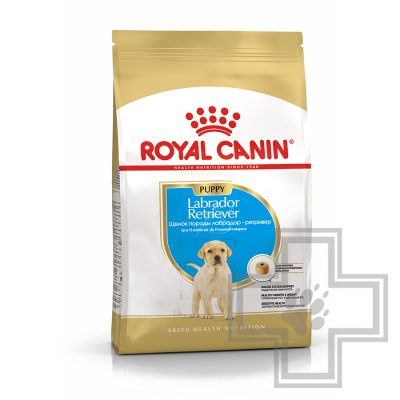 Royal Canin Labrador retriever Puppy