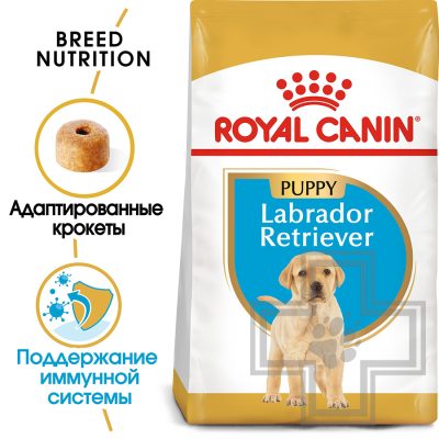 Royal Canin Labrador retriever Puppy