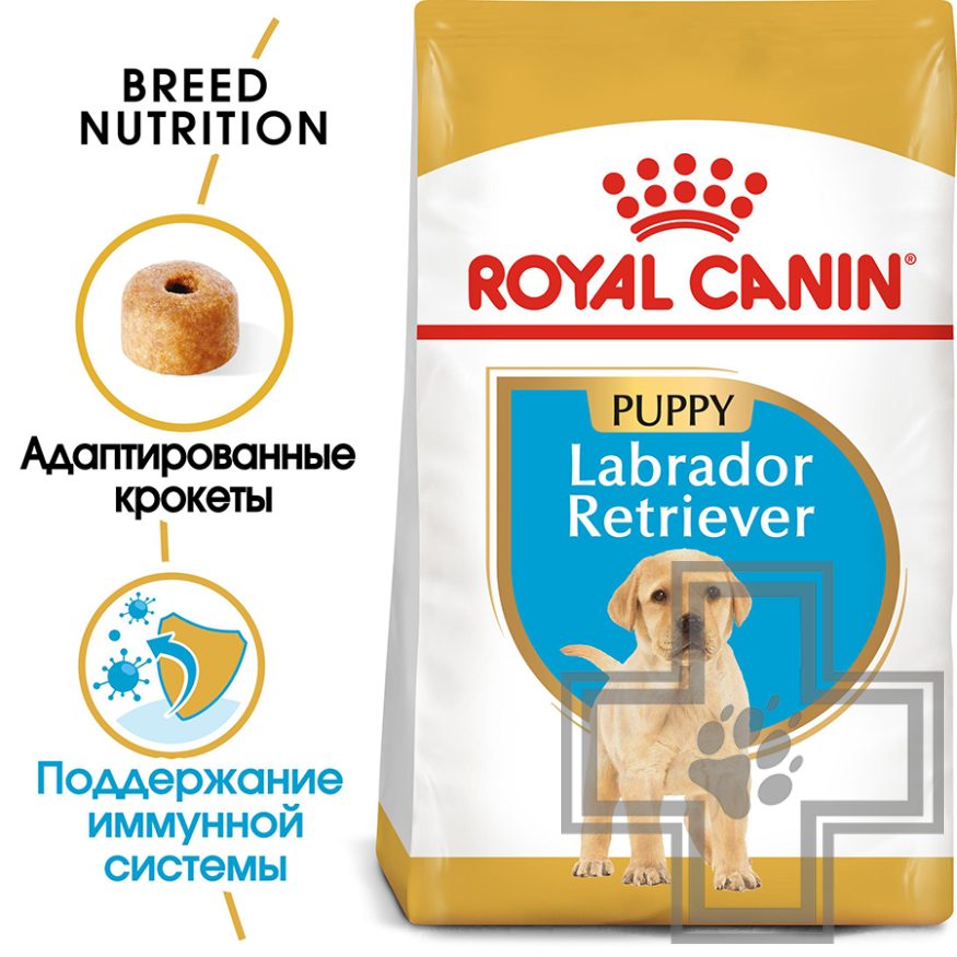Royal Canin Labrador retriever Puppy Royal Canin Labrador retriever Puppy